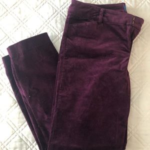 Velvet ankle length pixie pants size 8